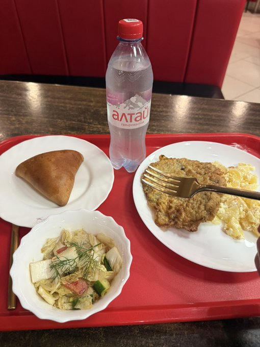 A red cafeteria tray holds a triangular fried pastry, a salad with cucumbers and dill, scrambled eggs with meat, a gold fork, and a bottle of 'altay' mountain water.