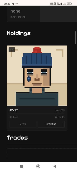 A mobile app screenshot showing a pixel-art NFT holding #2719 ranked 623, featuring a character with a blue beanie and red plume.