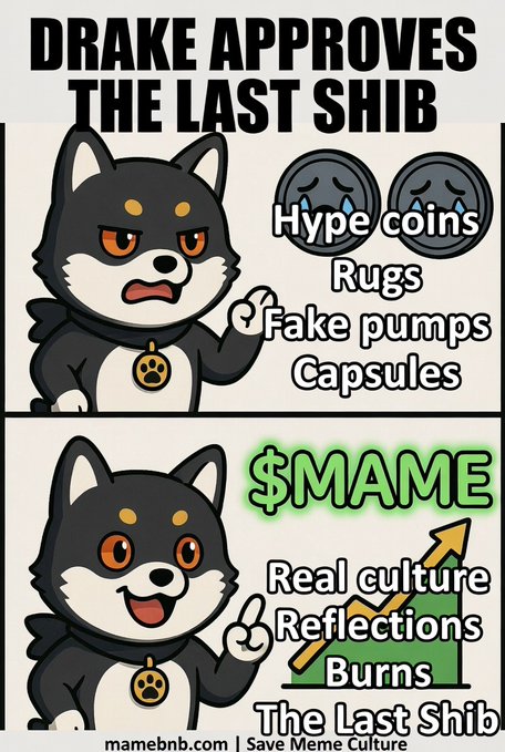 A 'Drake Approves' style meme featuring a Shiba Inu character rejecting 'Hype coins, Rugs, Fake pumps, Capsules' and approving '$MAME' for 'Real culture, Reflections, Burns, The Last Shib,' branded with mamebnb.com.