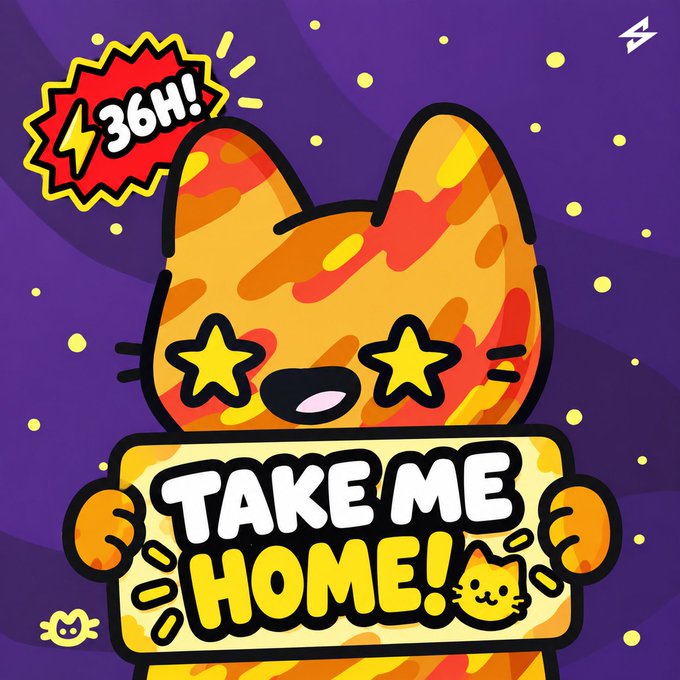 A cartoon illustration of an orange cat with star-shaped eyes holding a 'TAKE ME HOME!' sign, with a '36H!' badge in the corner against a purple background.
