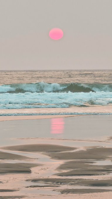 A serene beach scene at sunset or sunrise features a bright pink sun hanging in a pale sky, casting a pink reflection on the wet sand while gentle waves roll in.