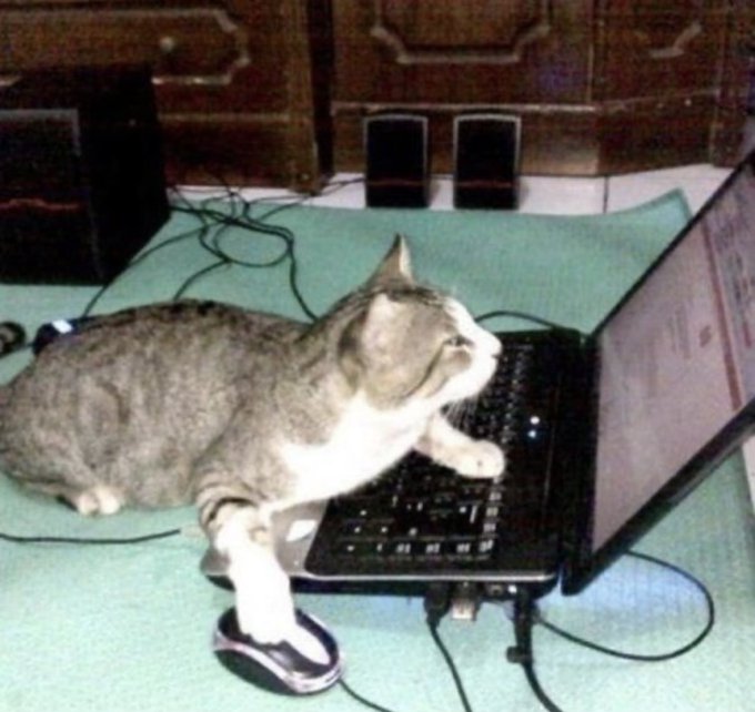 A humorous, low-quality photo of a tabby and white cat lying on a green surface, resting its paw on a computer mouse and appearing to look at a laptop screen and keyboard.