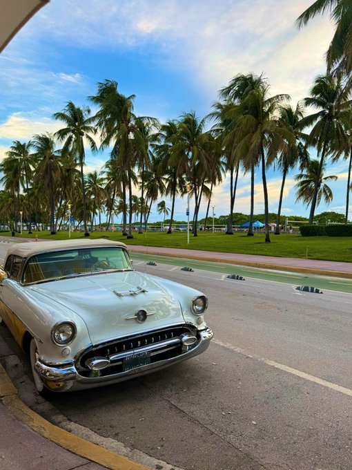 A classic white vintage Oldsmobile convertible parked on a street with tall palm trees and a grassy area in the background under a partly cloudy sky.