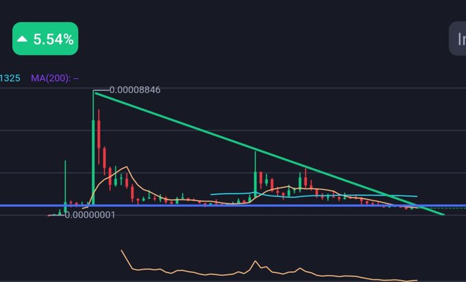 A SHIB/USD candlestick chart shows the asset in a descending triangle pattern, with price testing support near the flat bottom boundary around 0.00000846, while the MA(200) line sits well above current price and a 5.54% gain is displayed, reflecting the indecision of whether to accumulate at this lower support level or wait for a confirmed breakout.