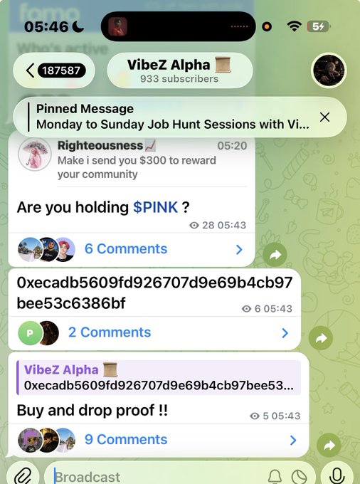 A Telegram channel screenshot for 'VibeZ Alpha' (933 subscribers) showing posts including 'Are you holding $PINK?', a contract address '0xecadb5609fd926707d9e69b4cb97bee53c6386bf', and 'Buy and drop proof !!'.