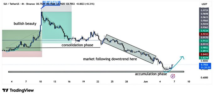 The image displays a graph of the stock market showing a decline with a downward trend. The graph highlights the early signs of recovery after a prolonged downtrend, as indicated by the upward sloping lines following the initial negative slope. The stock price is in an accumulation zone and appears to be bouncing back from its low points. The post indicates that buyers are likely stepping into the market when momentum continues to build, which could lead to SUI preparing for a strong move higher from current levels.