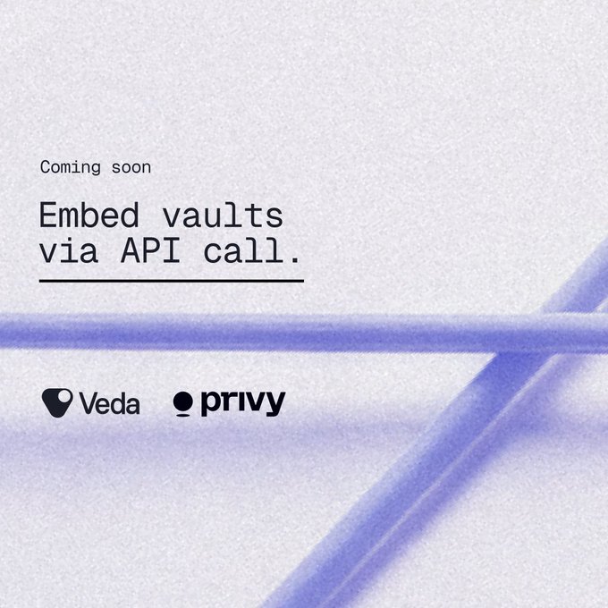 A minimalist promotional graphic reading 'Coming soon — Embed vaults via API call.' featuring the Veda and Privy logos on a light purple background with abstract blue strokes.