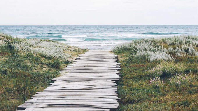 A wooden boardwalk path leading through grass toward the ocean on an overcast day.