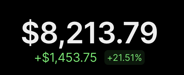 A financial display showing a value of $8,213.79, up $1,453.75 (+21.51%) in green text on a black background.