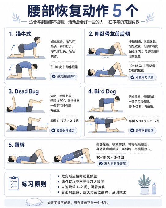 Chinese-language infographic titled '腰部恢复动作5个' (5 Lower Back Recovery Exercises) illustrating poses like Cat-Cow, Supine Pelvic Tilt, Dead Bug, Bird Dog, and Glute Bridge with instructions.