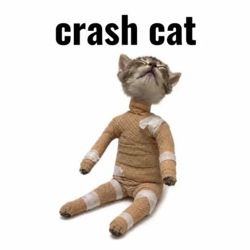 A humorous edited image showing a kitten's head photoshopped onto a body wearing a textured beige and white 'Oodie'-style onesie, lying back with eyes closed. Text above reads 'crash cat'.