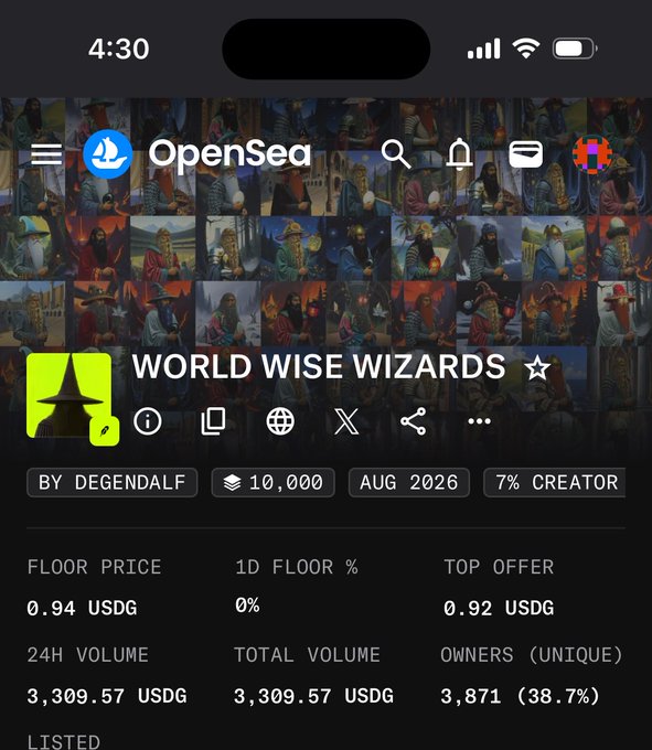 A smartphone screenshot of the OpenSea app showing an NFT collection called 'WORLD WISE WIZARDS' by DEGENDALF, with a floor price of 0.94 USDG.