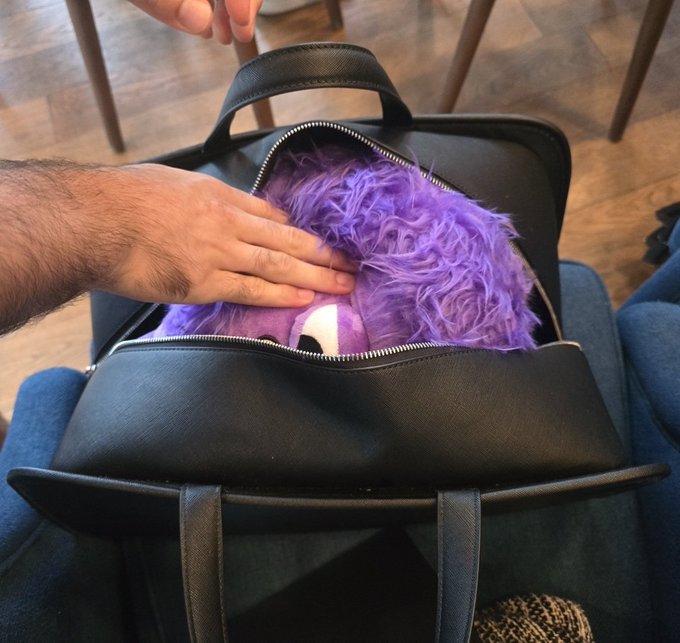 A hand reaching into a black leather bag containing a fluffy purple stuffed toy on someone's lap.