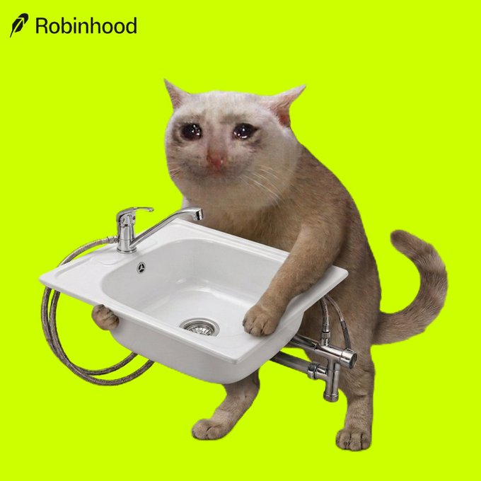 A cat stands behind a white sink on a bright green background, with the "Robinhood" logo visible in the top-left corner. The image humorously visualizes the speaker's "let that sink in" quip about 500+ attendees joining their first Robinhood space, with the $CASHCAT ticker playing on the cat and the unexpected success.