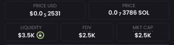 A cryptocurrency dashboard shows a token with a price of $0.002531 USD (0.007386 SOL), a fully diluted valuation (FDV) and market cap of $2.5K, and only $3.5K in locked liquidity, illustrating the extremely low market value referenced in the post's promised "1000x" potential.