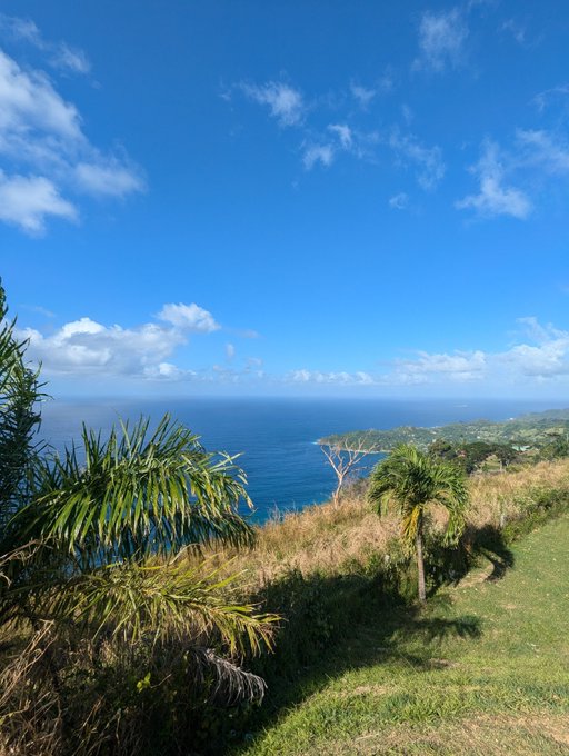 A scenic view from a grassy cliffside overlooking a vast blue ocean under a bright sky with scattered clouds, with green foliage in the foreground.