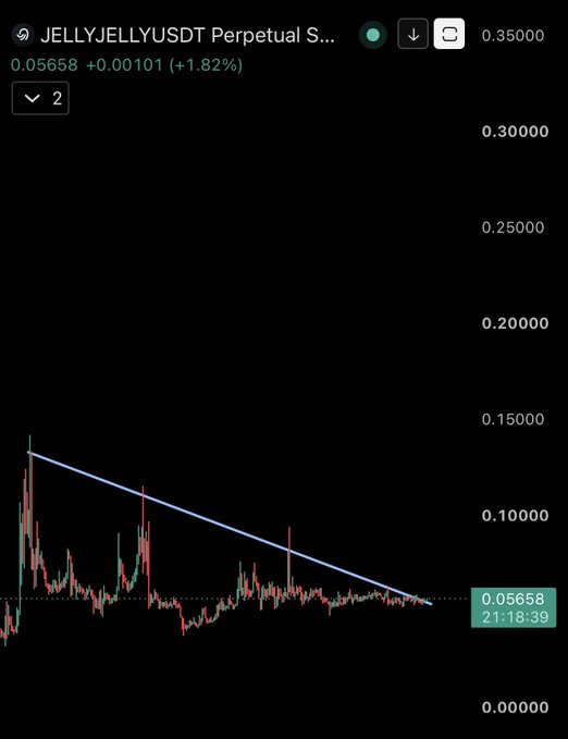 A TradingView chart of the JELLYJELLYUSDT perpetual contract on Binance shows the price at 0.05658 USDT, up +1.82%, trading near the bottom of a descending trendline pattern that suggests potential for a rebound, aligning with the post's bullish outlook on the SOL-based meme token.