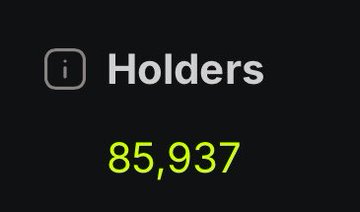 A dark-themed graphic displaying an info icon with the text 'Holders' and a bright green counter showing '85,937'.