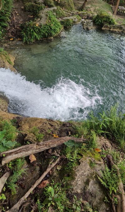 A natural scene showing clear water cascading over rocks into a pool, surrounded by green vegetation, mossy stones, and tree roots.