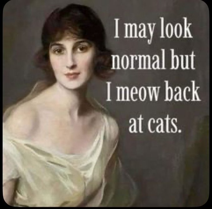 A classical portrait painting of a woman with the overlaid text: 'I may look normal but I meow back at cats.'