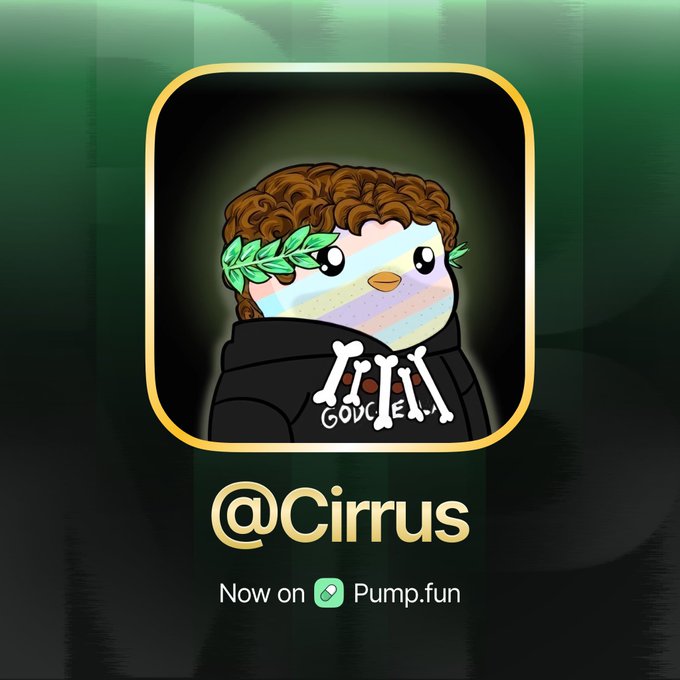 A promotional graphic announcing @Cirrus's launch on Pump.fun, featuring a cute cartoon NFT character with curly brown hair and a laurel wreath, wearing a black hoodie with "GOOGLE" branding, set against a dark green background with the username "@Cirrus" displayed below.
