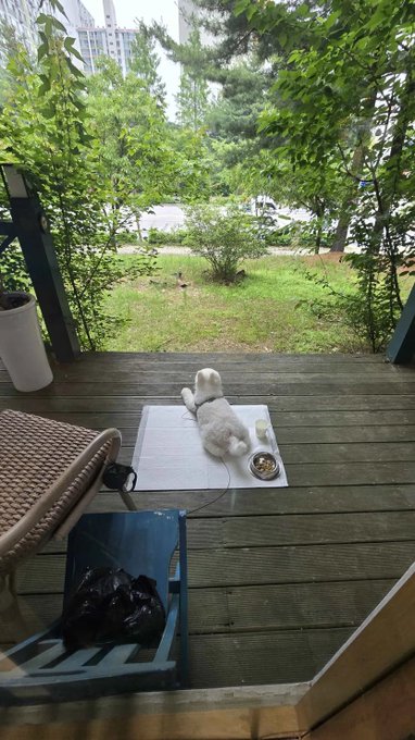 The image shows a white dog laying down on a mat outside of a building. The dog appears to be relaxed and comfortable as it enjoys its time outdoors. In front of the dog, there are two chairs - one blue chair and another brown chair. A bag is placed next to the blue chair, possibly containing some belongings or treats for the dog.