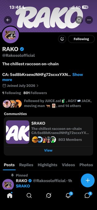 A screenshot of an X (Twitter) profile page for 'RAKO' (@Rakosolofficial), described as 'The chillest raccoon on-chain' with 801 followers.