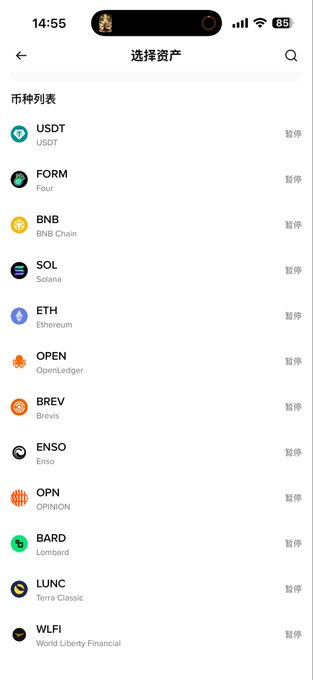 A screenshot of a cryptocurrency selection menu (选择资产) listing available tokens including USDT, FORM, BNB, SOL, ETH, and others, with "暂停" (suspended) displayed next to each asset. This relates to the post about Binance allegedly pausing on-chain transfers for approximately one hour, showing the platform's asset selection page where withdrawal/deposit functions appear disabled.