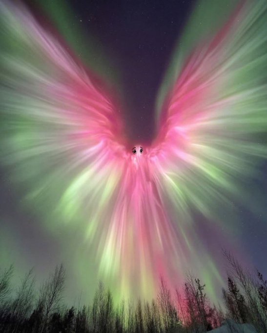 A vibrant aurora borealis (northern lights) display with pink and green streaks forming a wing-like pattern, with two small cartoon eyes drawn in the center creating an angelic figure above silhouetted trees.