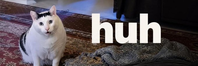 A curious black-and-white cat sits on a patterned rug next to a gray blanket, with the bold white text "huh" prominently displayed beside it. The meme-style image plays on the $HUH Robinhood token ticker, combining a puzzled-looking feline with the word "huh" to create a playful and memorable banner for the community announcement.