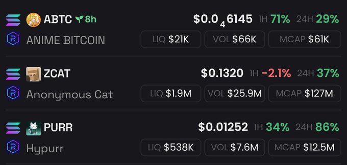 A cryptocurrency price tracker displays three meme coins on Solana (Raydium): ABTC (Anime Bitcoin) at $0.6145 with 71% 1H gain, ZCAT (Anonymous Cat) at $0.1320 with -2.1% 1H, and PURR (Hypurr) at $0.01252 with 34% 1H gain, along with their liquidity, volume, and market cap.