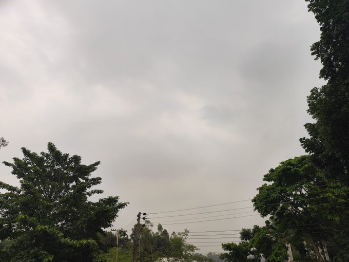 A calm, overcast evening sky framed by lush green treetops and power lines, setting a peaceful mood that mirrors the post's message of restful, distraction-free sleep. No text or numbers are visible in the image.