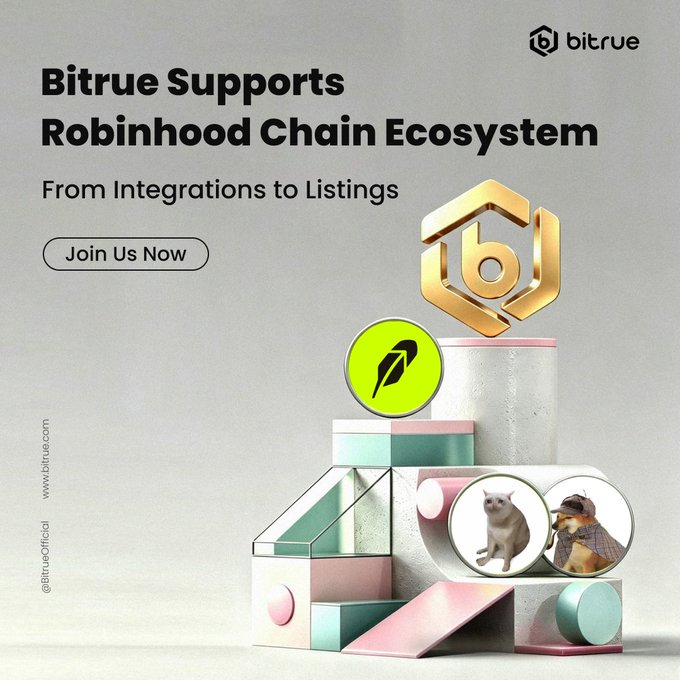 A Bitrue promotional image announcing "Bitrue Supports Robinhood Chain Ecosystem - From Integrations to Listings" with a "Join Us Now" button, featuring a 3D geometric arrangement of pastel-colored blocks displaying the Robinhood Chain logo, Robinhood feather icon, and circular images of a cat ($CASHCAT) and a dog ($PIPEDOG). The visual directly reinforces the post's announcement of new token listings (CASHCAT and PIPEDOG) and ecosystem integrations on the Robinhood Chain.