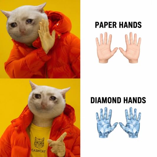 A four-panel meme comparing 'Paper Hands' and 'Diamond Hands' in crypto culture, using a crying white cat in an orange jacket for 'Paper Hands' and a cat in a 'CASHCAT' shirt pointing approvingly for 'Diamond Hands,' alongside illustrations of regular hands and diamond hands.