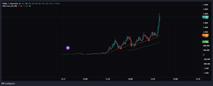 A TradingView intraday chart of the ticker $HOME shows a sharp vertical price spike to 3.896, with a purple smiley face annotation marking a flat region near the $3 level just before the surge—suggesting that the whale mentioned in the post has just begun entering the position as the stock broke out of its sideways consolidation.