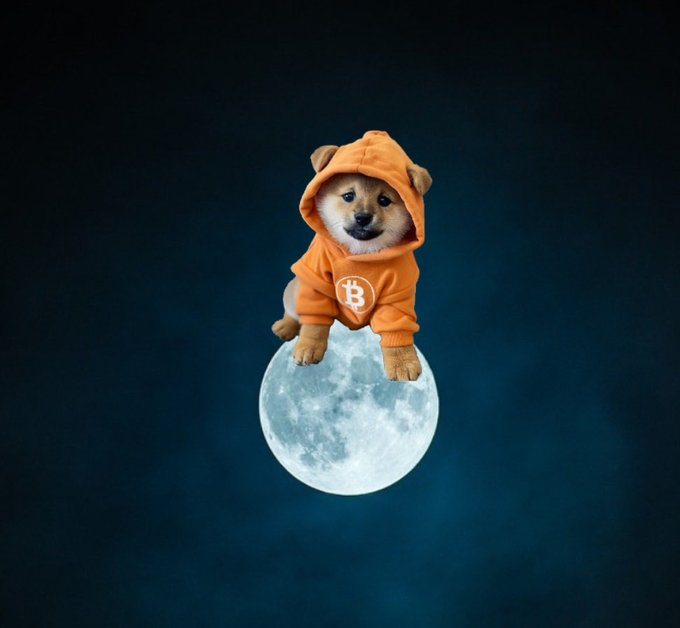 A Shiba Inu dog wearing an orange Bitcoin-themed hoodie sits atop a glowing full moon against a dark blue night sky, referencing the Dogecoin/Bitcoin mascot meme.