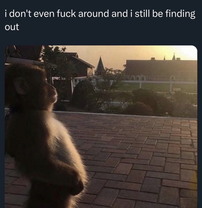 A monkey silhouette sits in the foreground on a brick patio looking out at a sunset, with overlaid text reading 'i don't even fuck around and i still be finding out'.
