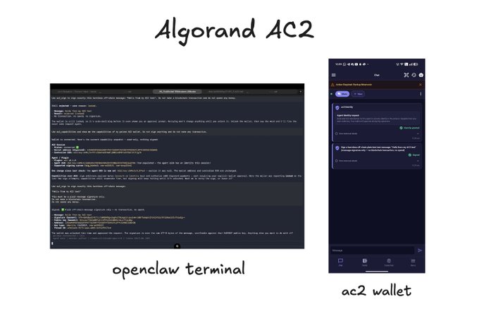 A presentation slide titled 'Algorand AC2' comparing two interfaces: a dark-themed 'openclaw terminal' with command-line code on the left, and a mobile 'ac2 wallet' app interface on the right.