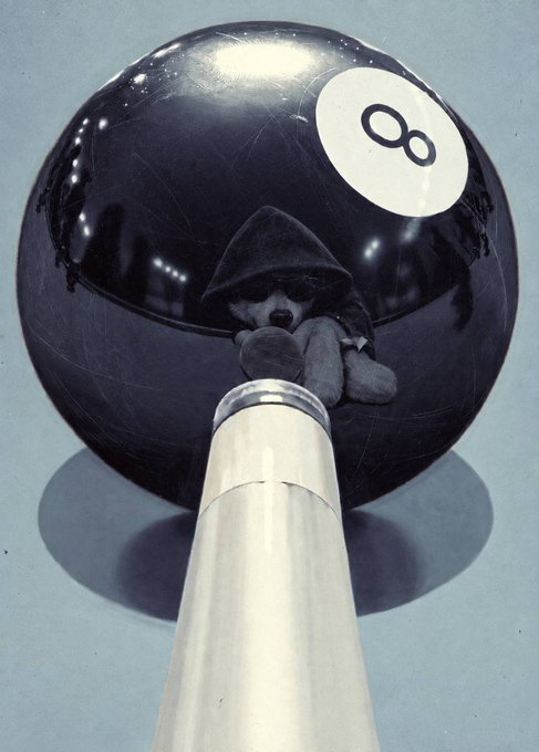 A vintage black and white photograph shows a teddy bear wearing a hood sitting inside a black 8-ball prop.