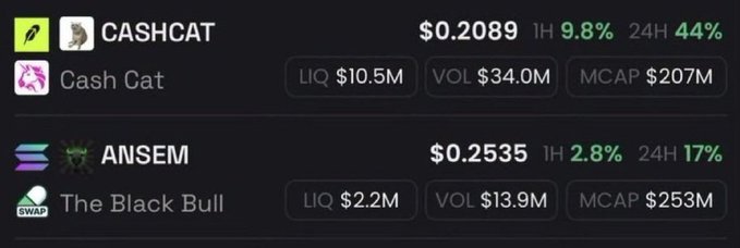 A crypto price tracker displays $CASHCAT at $0.2089 with a 44% 24-hour gain and $207M market cap, alongside $ANSEM (The Black Bull) at $0.2535 with a 17% 24-hour gain and $253M market cap, visually backing the post's claim of massive returns on recent token calls.