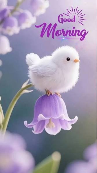 A fluffy white chick perches on a purple bell-shaped flower with the text 'Good Morning' displayed at the top in decorative script.
