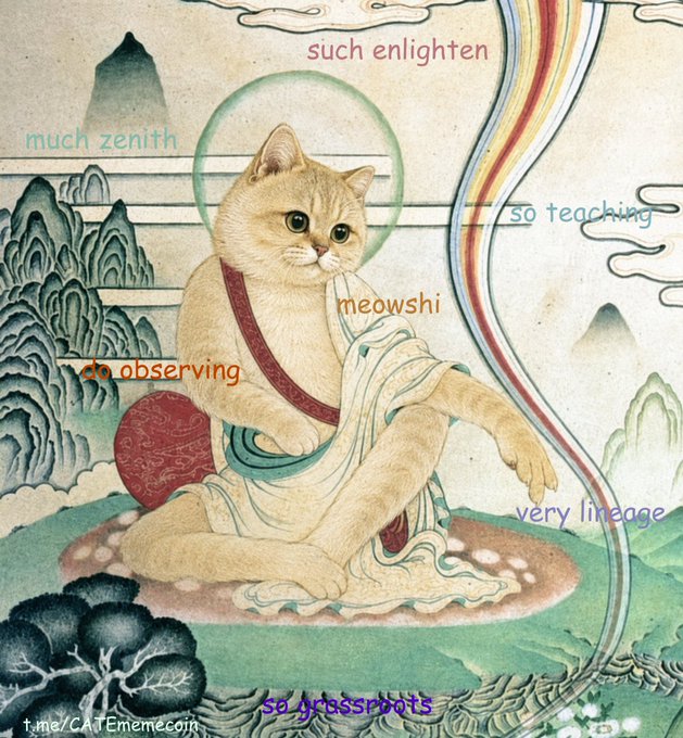 An illustration of an orange cat dressed as a Buddhist monk in traditional robes, surrounded by floating humorous text such as 'meowshii', 'much zenith', 'so teaching', 'such enlighten', 'very lineage', and 'so grassroot'.
