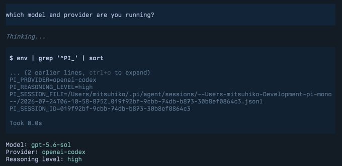 The image shows a terminal output where running `env | grep '^PI_' | sort` reveals environment variables (PI_PROVIDER=openai-codex, PI_REASONING_LEVEL=high, etc.), demonstrating Pi 0.82.0's new feature that exposes the active model and provider to bash subprocesses. The response confirms the setup as "Model: gpt-5.6-sol, Provider: openai-codex, Reasoning level: high."