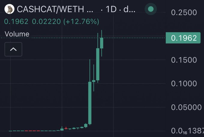 The image shows a 1-day candlestick chart for the CASHCAT/WETH trading pair, with the price surging dramatically from near 0.0001387 to 0.1962, marking a +12.76% gain that visually confirms the poster's boast of a "100x" return on their $CASHCAT investment.