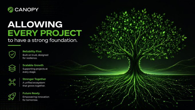 A promotional graphic for 'CANOPY' titled 'ALLOWING EVERY PROJECT to have a strong foundation,' featuring a glowing green tree with roots and four pillars: Reliability First, Scalable Growth, Stronger Together, and Future Ready.