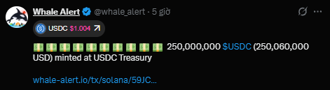 A screenshot of a tweet from Whale Alert (@whale_alert) reporting that 250,000,000 USDC ($250,060,000 USD) were minted at USDC Treasury, with USDC price at $1.00.