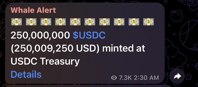 A "Whale Alert" notification reports that 250,000,000 USDC (250,009,250 USD) was minted at the USDC Treasury, reflecting the large-scale stablecoin issuance referenced in the post about new dollar liquidity entering the market.