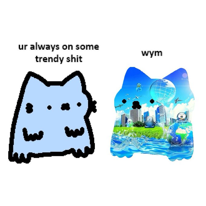Two crudely drawn cats stand side by side with text reading "ur always on some trendy shit" above the simple blue cat on the left, and "wym" above the elaborately detailed cat on the right depicting a surreal scene with airplanes, a cityscape, Earth, and water. The image humorously contrasts simplicity versus over-the-top aesthetics, fitting the meme's ongoing $NUB promotion.