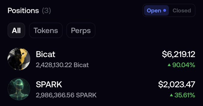 A portfolio dashboard showing 3 open positions, with Bicat valued at $6,219.12 (+90.04%) holding 2,428,130.22 tokens and SPARK valued at $2,023.47 (+35.61%) holding 2,986,366.56 tokens, reflecting the user's recent purchases of SPARK and a cat-themed meme coin (Bicat) on FOMO.