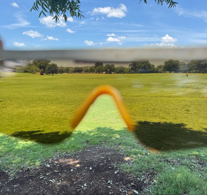 A view of a sunny grassy field with trees in the background is partially obscured by a blurry, horizontal object and an orange loop in the foreground.